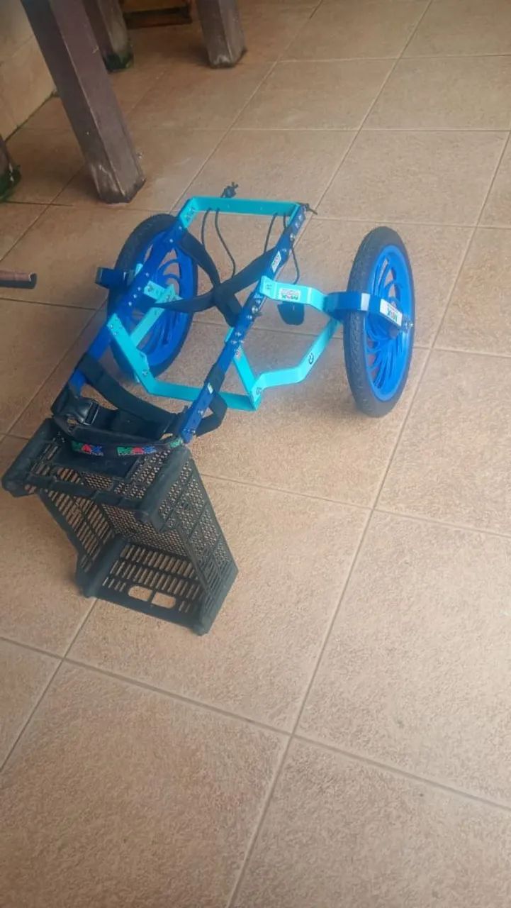 Cachorro andador