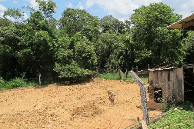 50 metros da Br/ 1 alqueire e 32 litros - Foto 11