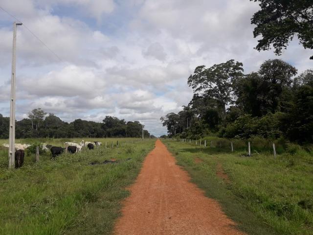 Fazenda 3500Ha - Ribeirão Cascalheira / Agua Boa