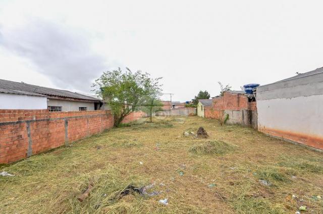 Terreno à venda em Guatupê, São josé dos pinhais cod:144761 - Foto 5