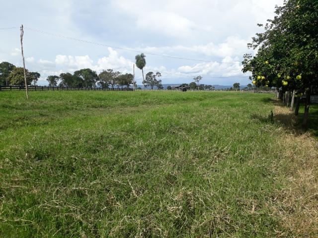Confinamento ou Laticínio na comunidade olho d"agua na BR 364 a 30 km de Cuiabá - Foto 20