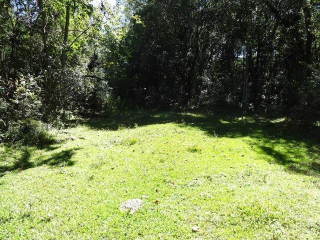 Área de 20000m² própria para chácara com privacidade - Foto 7