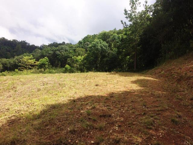 Linda área para chácara de lazer com 02 hectares - Foto 4