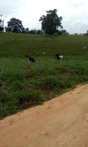 Vendo fazenda em Gandu BA - Foto 2