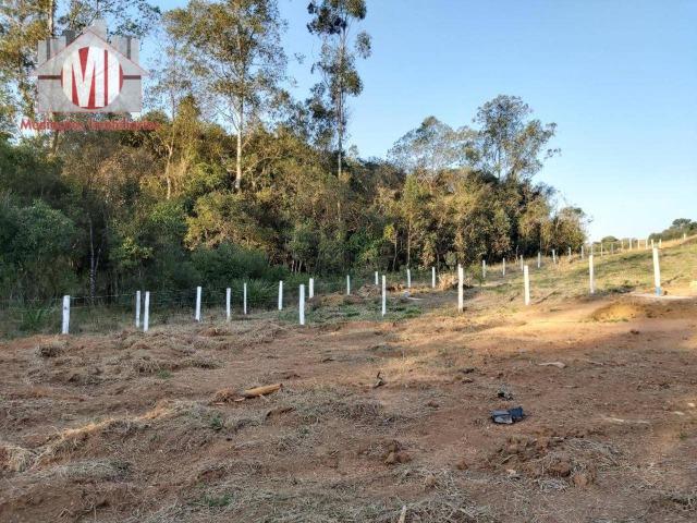Lindo terreno com escritura, poço semi-artesiano e energia elétrica em Pedra Bela - Foto 16