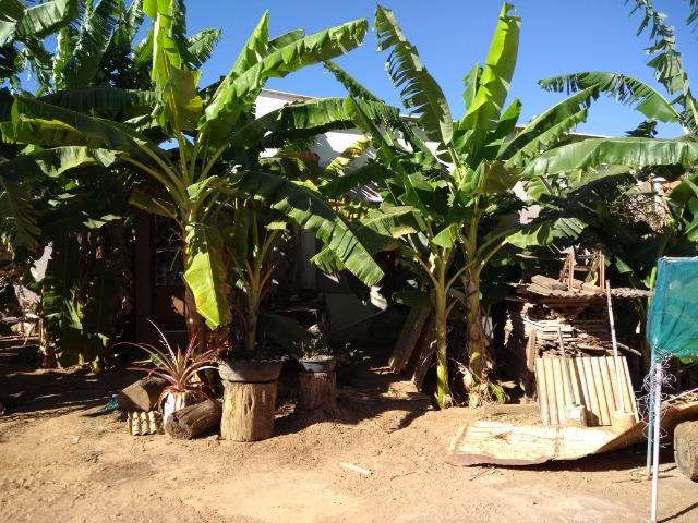 Vendo ou Troco Por Chácara Uma Casa no Arapoanga com Uma Loja , Terreno 675Metros - Foto 8