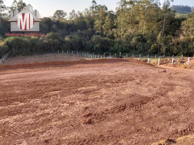 Lindo terreno com escritura, poço semi-artesiano e energia elétrica em Pedra Bela - Foto 19