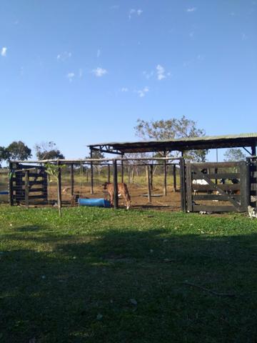Vendo sítio - Foto 18