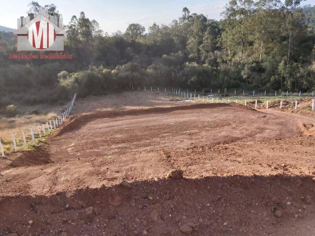 Lindo terreno com escritura, poço semi-artesiano e energia elétrica em Pedra Bela - Foto 11