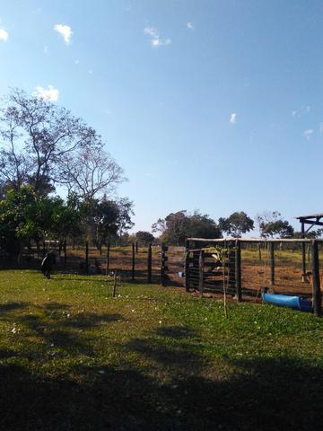 Vendo sítio - Foto 11