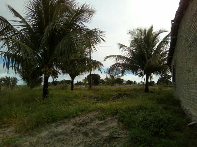 Vendo terreno aqui em São Sebastião Alagoas - Foto 3