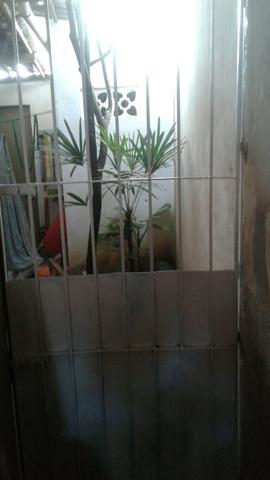 Paulo pintura de casa e outras coisas