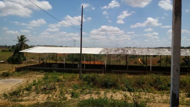Ótima propriedade com 2 aviários em Chã de Alegria - Foto 2