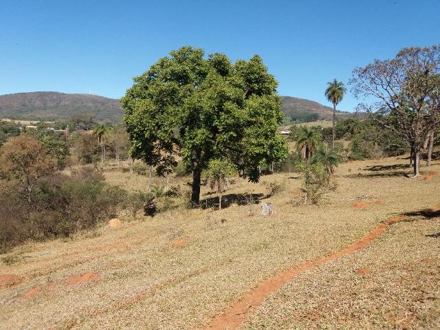 Fazendinhas com vista maravilhosa, excelente acesso, a 500 mts do asfalto, - Foto 16