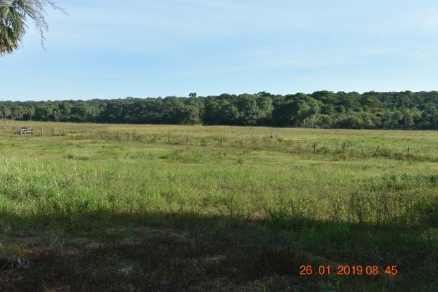 Fazenda na região de corumba ms - Foto 3