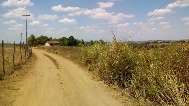 Ótima propriedade com 2 aviários em Chã de Alegria - Foto 4