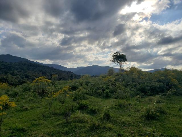 Belíssimo Sítio na Rota Turística de Urupema/Rio Rufino - Foto 12