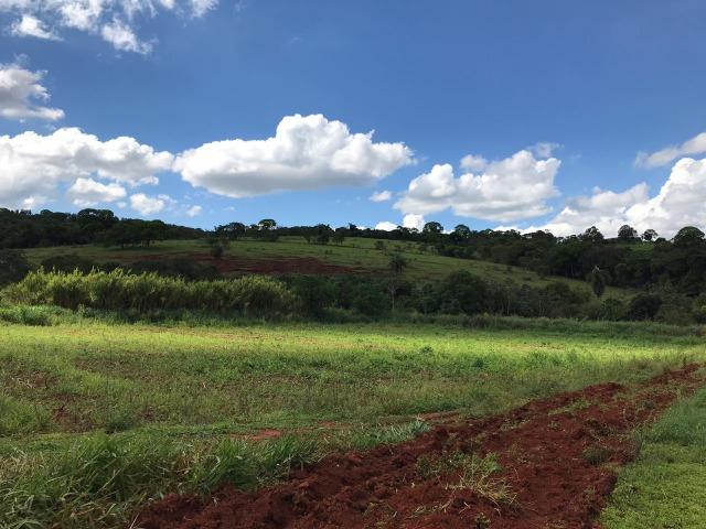 Fazendinhas com vista maravilhosa, excelente acesso, a 500 mts do asfalto, - Foto 18