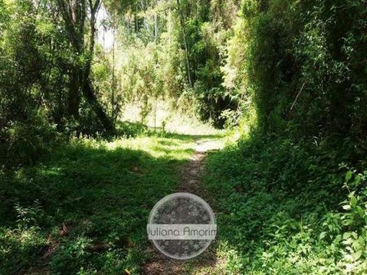 Urubici terrenos - Foto 3