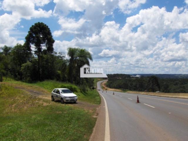 Terreno para alugar em Chapada, Ponta grossa cod:01744.002 - Foto 6