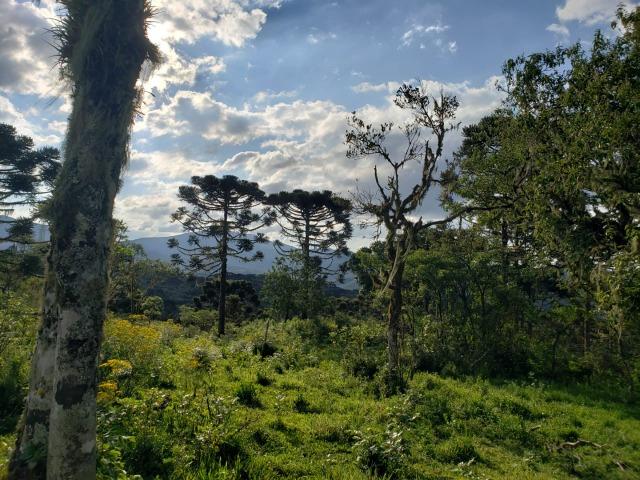 Belíssimo Sítio na Rota Turística de Urupema/Rio Rufino - Foto 10