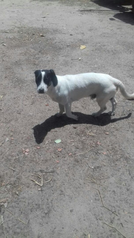 Doaçáo - Foto 2