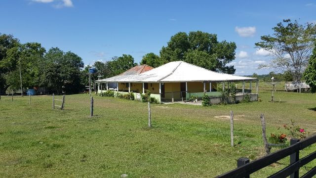 Fazenda de 1500 hectares em Alto Alegre/RR, ler descrição do anuncio - Foto 15