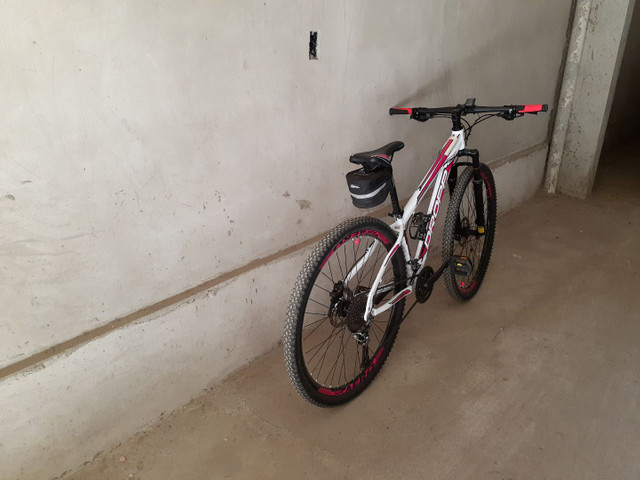 Bike aro 29.