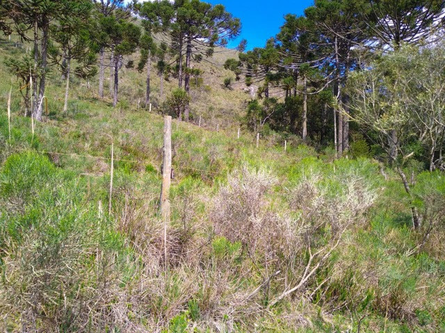 Sítio Terreno - Foto 17