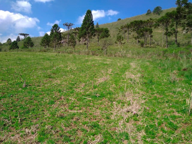 Sítio Terreno - Foto 18