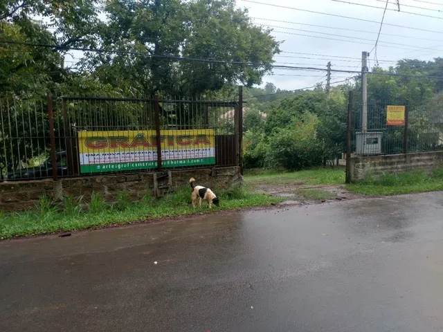 Ótimo Sítio frente asfaltada em Gravataí