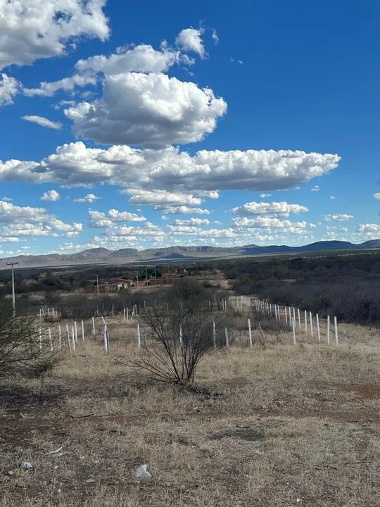 Terreno Comercial ás margens da Br-232 - Foto 3