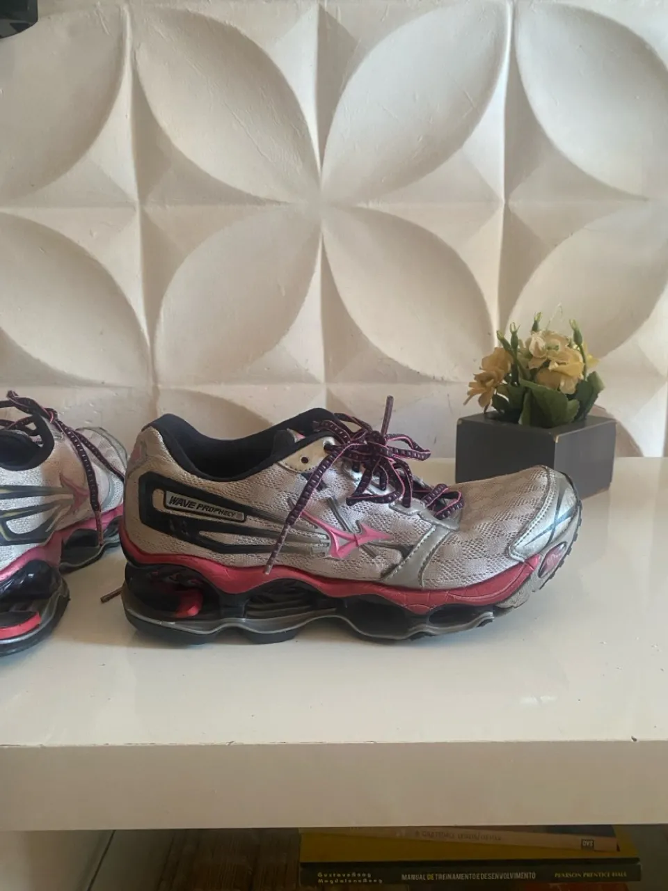 Wave prophecy 2, vendo em estado de novo