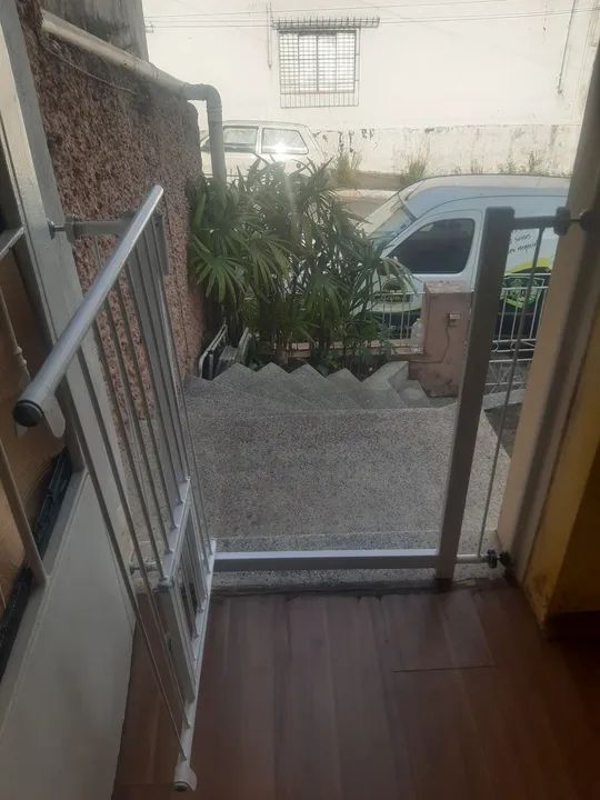 Portazinho Reforçado com Visor para Pets - Foto 3