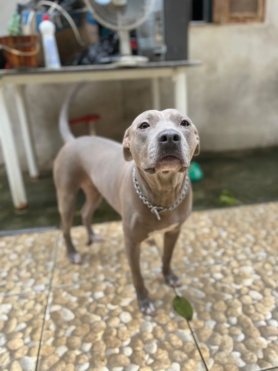 Doação 