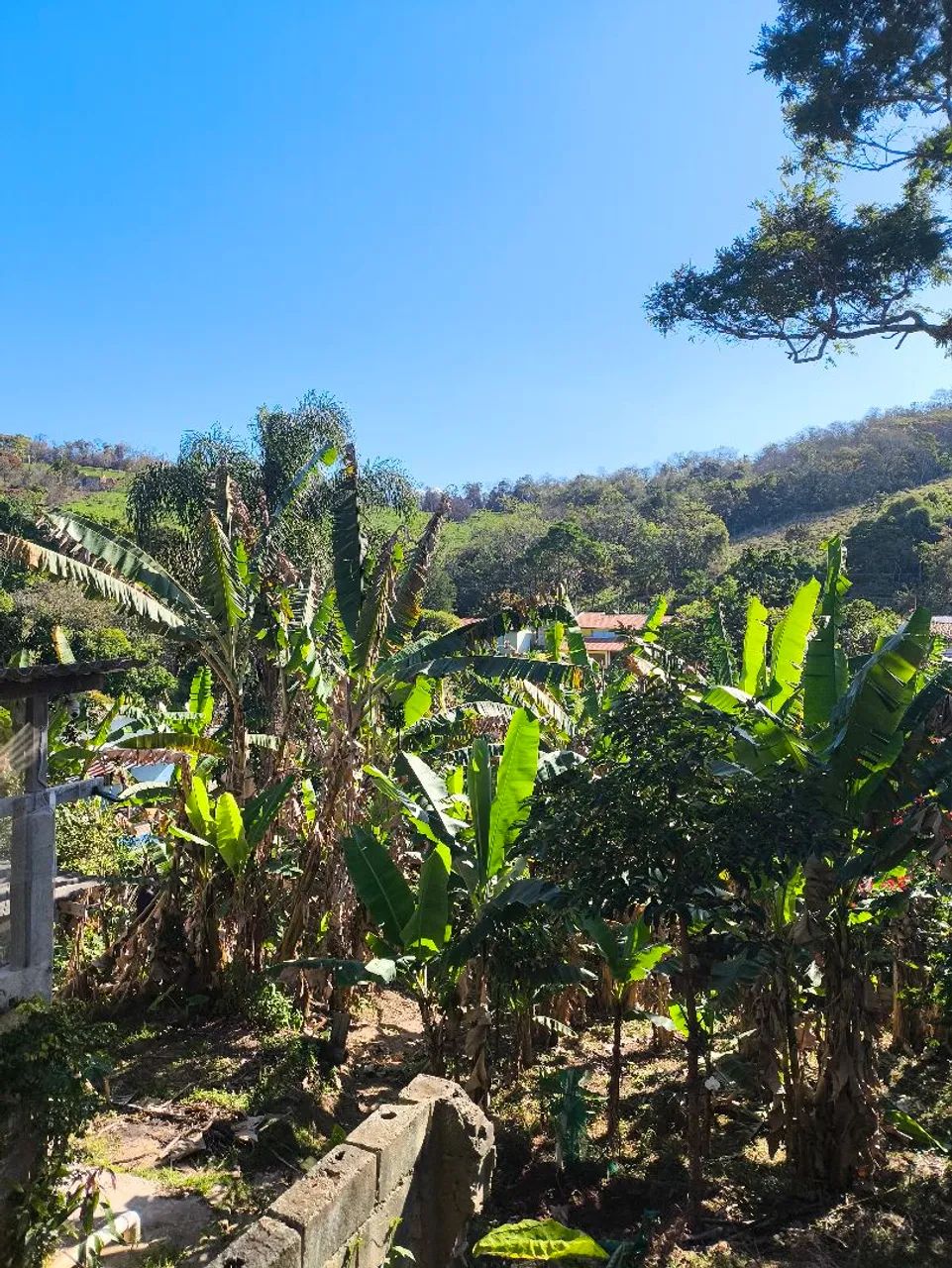 Foto - São José dos Campos - Jardim Satélite