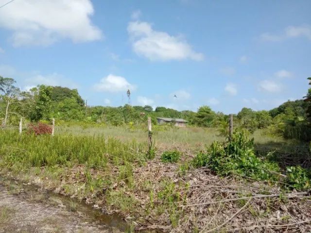 Terreno na Estrada de Mosqueiro - Foto 2