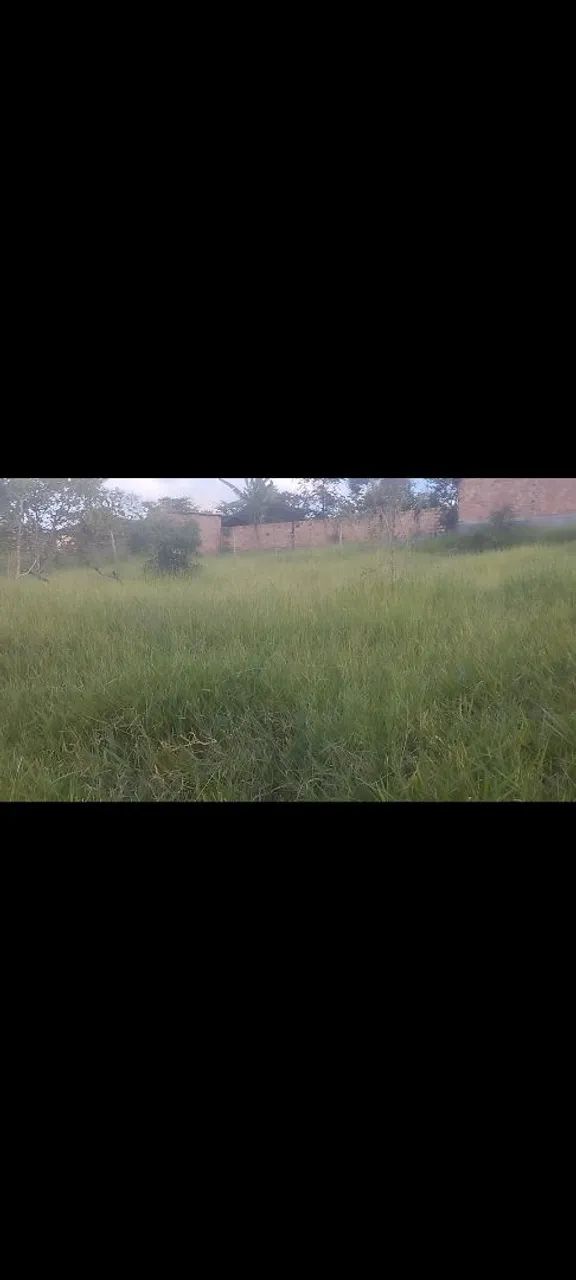 Financiamento de lote - Foto 2