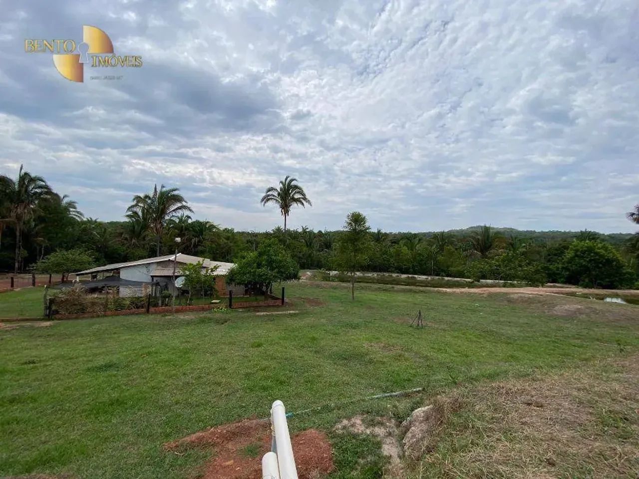 Fazenda com estrutura completa para criação.
