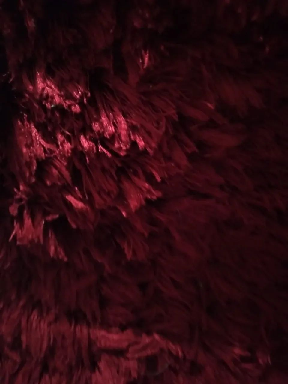 Tapete vermelho 2x3