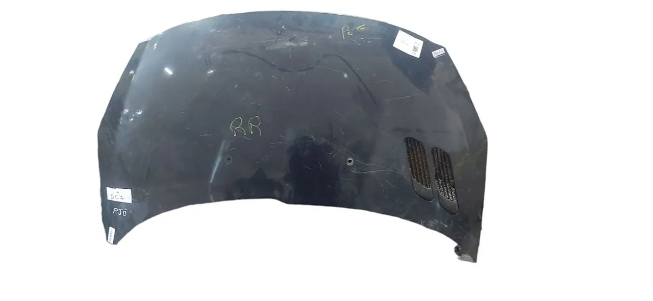 CAPO 207 DO PEUGEOT 207 /