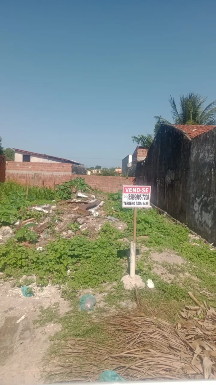 TERRENO NA SANTA TEREZINHA (TAMANDARE)