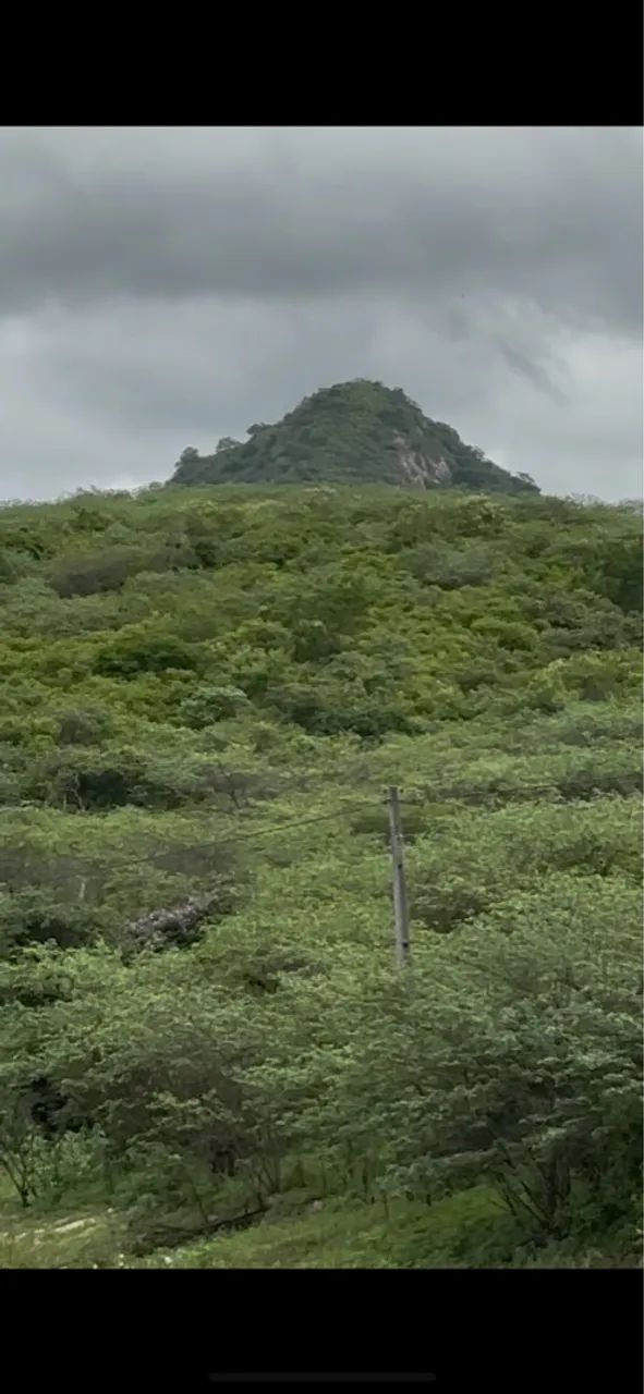 102 ha oportunidade de ter sua fazenda - Foto 2