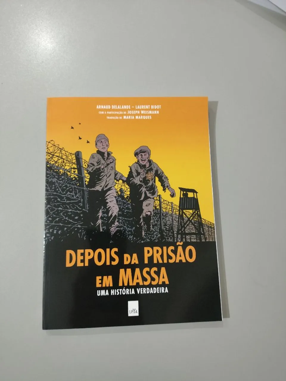 Depois da Prisão em Massa - HQ