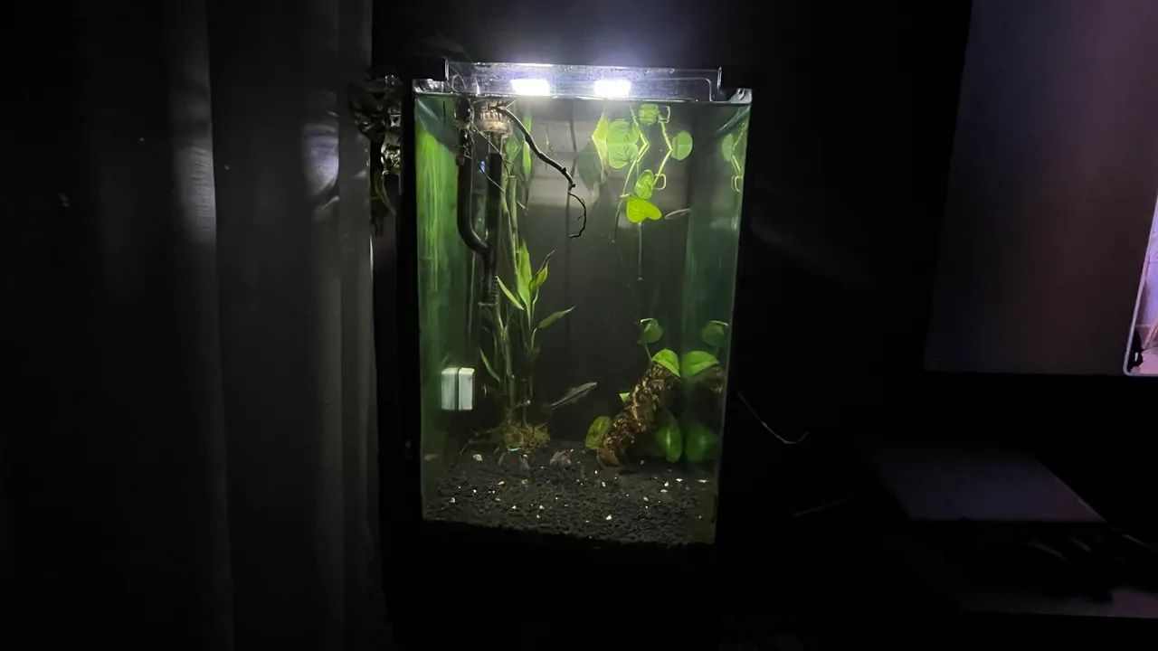 Aquário 96 litros com suporte de ferro  - Foto 2