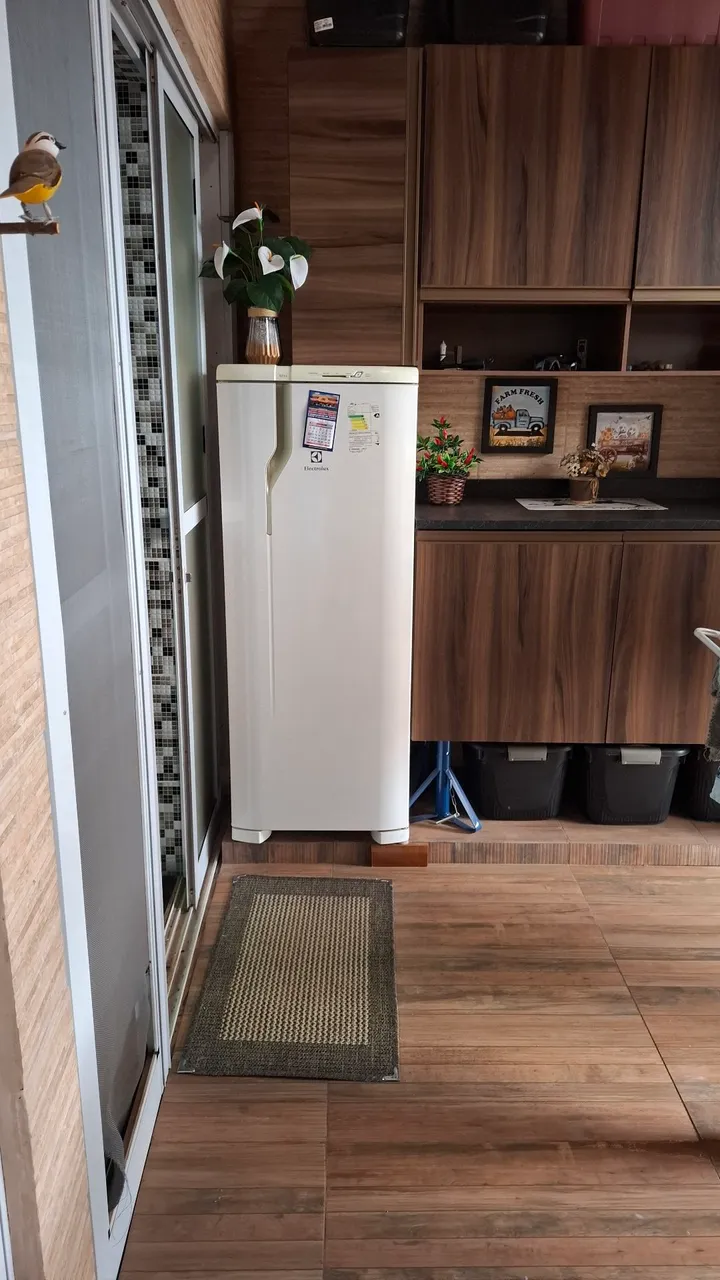 Geladeira eletrolux d31