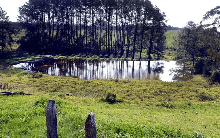 Foto - Cotia - Jardim Santa Paula