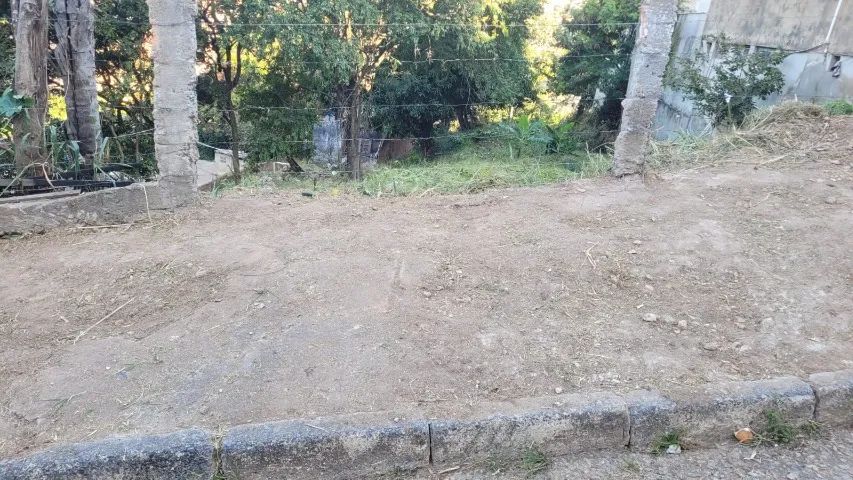 Foto - Belo Horizonte - Palmeiras