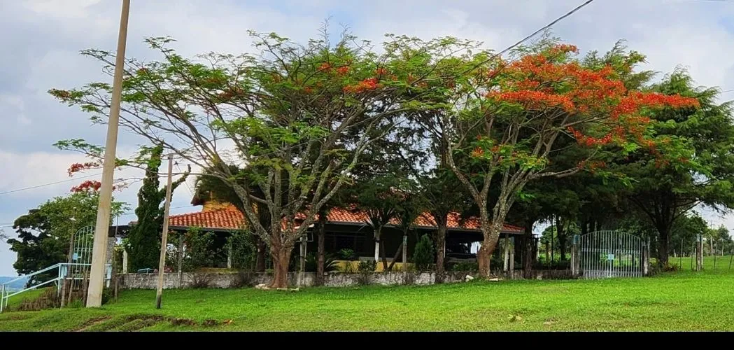 Sitio Cassia dos Coqueiros