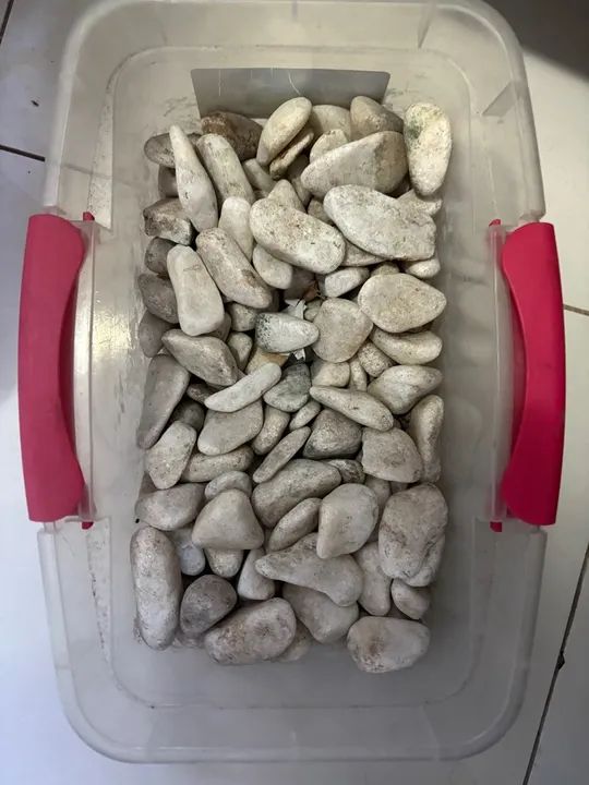Pedras Brancas para Decoração de Jardim - Foto 2